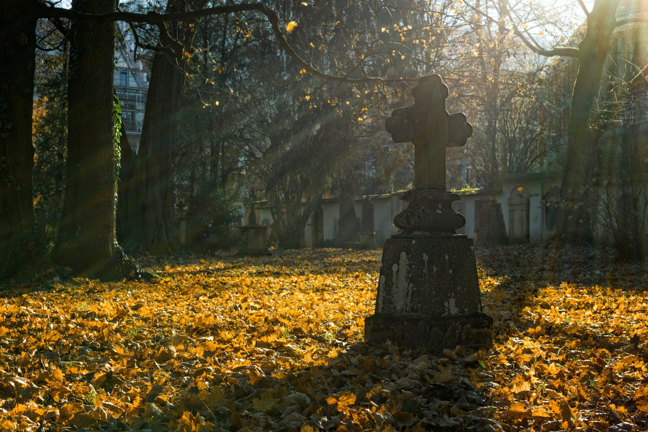 A sírgyalázás igenis bűncselekmény